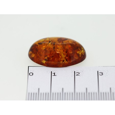 Ambre cabochon ovale 25x18mm 10.74cts