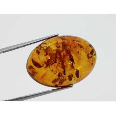 Ambre cabochon ovale 25x18mm 10.74cts