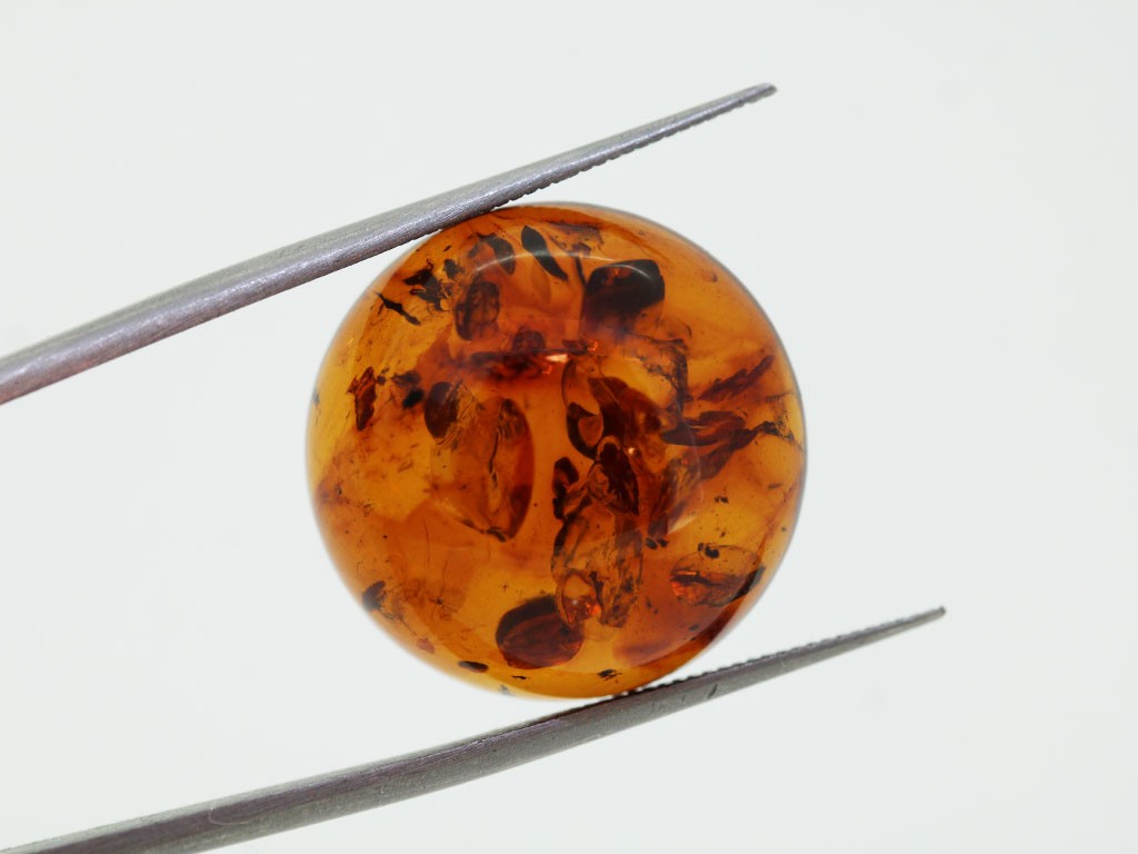 Ambre cabochon rond 20mm 10.28cts