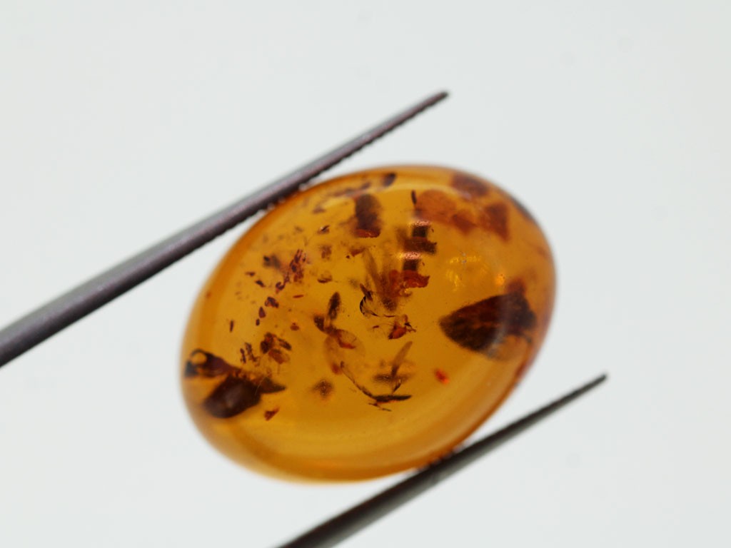 Ambre cabochon ovale 20x15mm 6.42cts