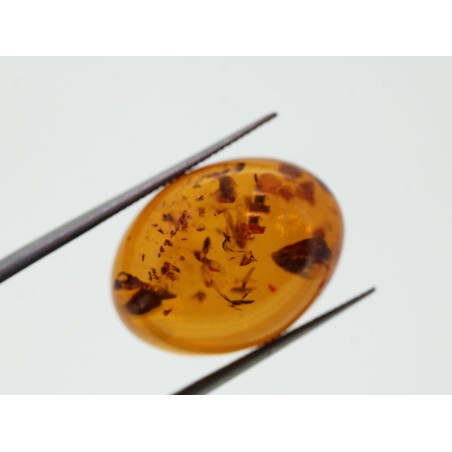 Ambre cabochon ovale 20x15mm 6.42cts