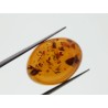 Ambre cabochon ovale 20x15mm 6.42cts