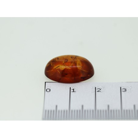 Ambre cabochon ovale 20x15mm 6.42cts