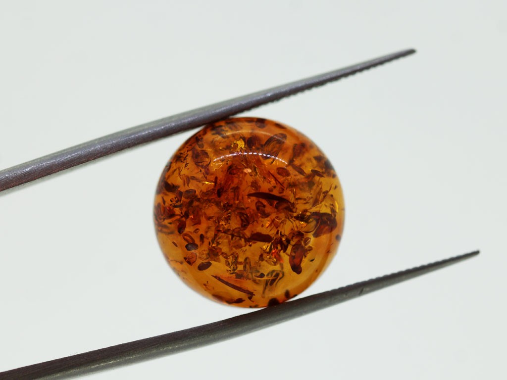 Ambre cabochon rond 15mm 4.31cts