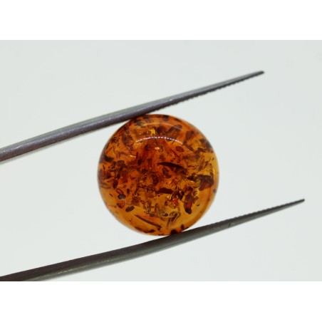 Ambre cabochon rond 15mm 4.31cts