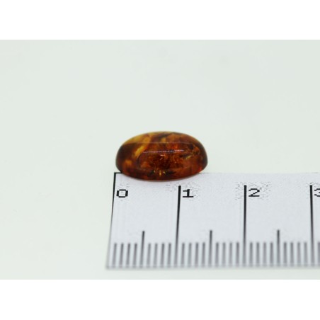 Ambre cabochon ovale 14x10mm 1.93cts