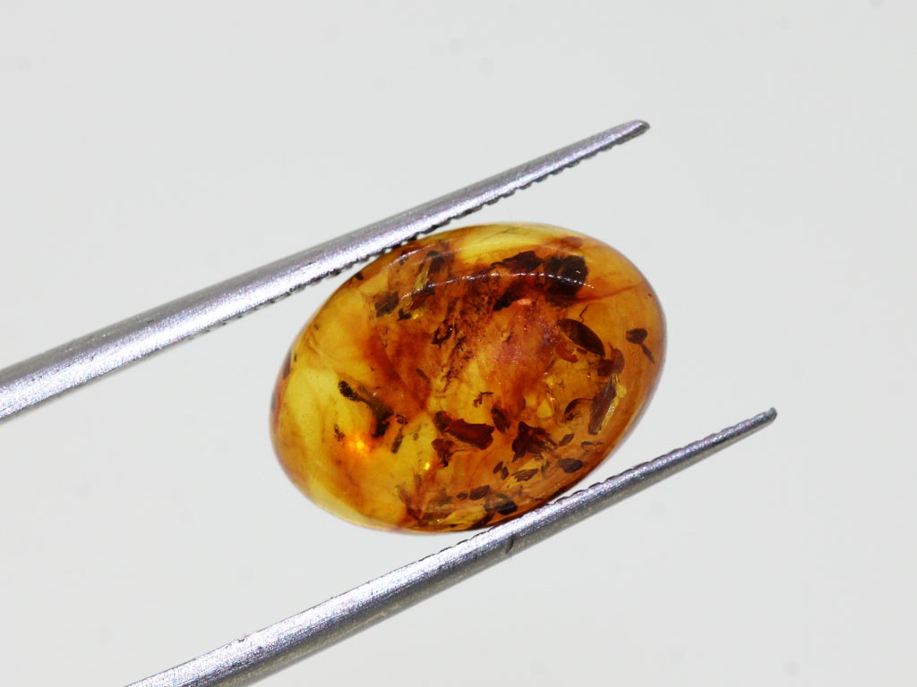 Ambre cabochon ovale 14x10mm 1.93cts