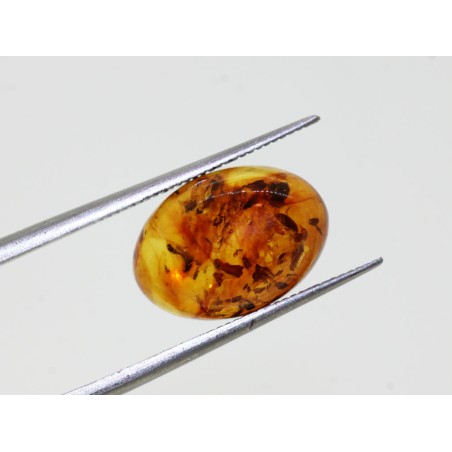 Ambre cabochon ovale 14x10mm 1.93cts