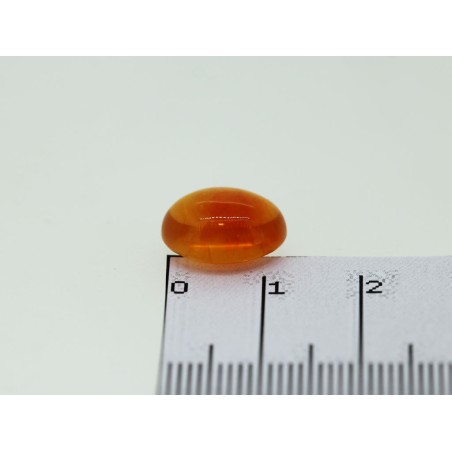 Ambre cabochon ovale 12.8x10.26mm 4.68cts