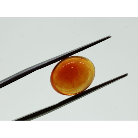 Ambre cabochon ovale 12.8x10.26mm 4.68cts