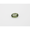 Diopside Ovale 9x6mm 1.60cts