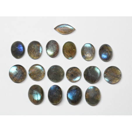 Labradorites Cabochon - Formes Mixtes 10mm